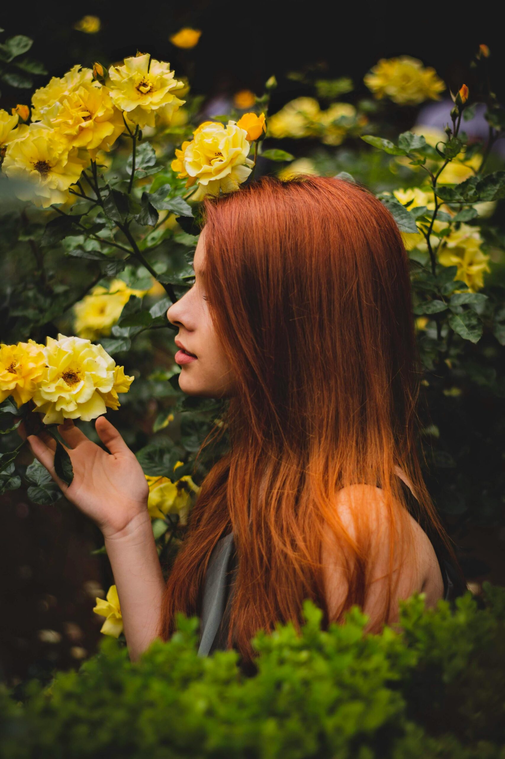 A woman with red hair enjoying the scent of blooming yellow roses in a garden.